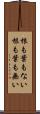 根も葉もない Scroll