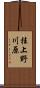 桂上野川原 Scroll