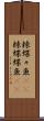 棘蝶々魚(rK) Scroll
