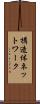 構造体ネットワーク Scroll