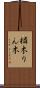 橉木 Scroll