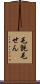 毛氈 Scroll
