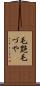 毛艶 Scroll