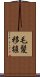 毛髪移植 Scroll