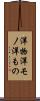 洋物 Scroll