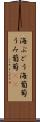海ぶどう Scroll