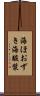 海ほおずき Scroll