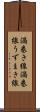 渦巻き線 Scroll
