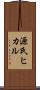 源氏ヒカル Scroll