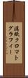 濾紙クロマトグラフィー Scroll
