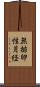 無排卵性月経 Scroll