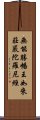 無能勝幡王如來莊嚴陀羅尼經 Scroll