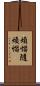 煩惱隨煩惱 Scroll