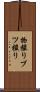 物撮り Scroll