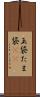 玉袋 Scroll