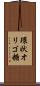 環状オリゴ糖 Scroll