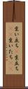 生い立ち(P) Scroll