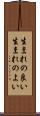 生まれの良い Scroll