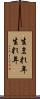 生まれ年 Scroll