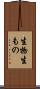 生物 Scroll
