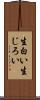 生白い Scroll