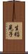 生稲晃子 Scroll