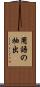 用語の抽出 Scroll