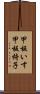 甲板いす Scroll