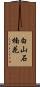 白山石楠花 Scroll