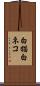 白猫 Scroll