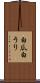 白瓜 Scroll