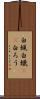 白蝋 Scroll