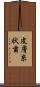 皮膚糸状菌 Scroll