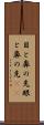 目と鼻の先 Scroll