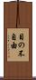 目の不自由 Scroll