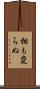相も変らぬ Scroll