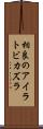 相良のアイラトビカズラ Scroll
