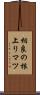 相良の根上りマツ Scroll