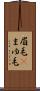 眉毛(P) Scroll