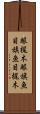 眼梶木 Scroll