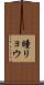 瞳リョウ Scroll