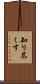 知り尽くす Scroll