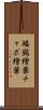 矮鶏檜葉 Scroll