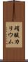硝酸カリウム Scroll
