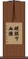 硬膜下血腫 Scroll