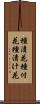 種漬花 Scroll