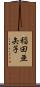 稲田亜矢子 Scroll