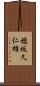 穂坂久仁雄 Scroll