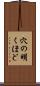 穴の明くほど Scroll