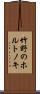 竹野のホルトノキ Scroll